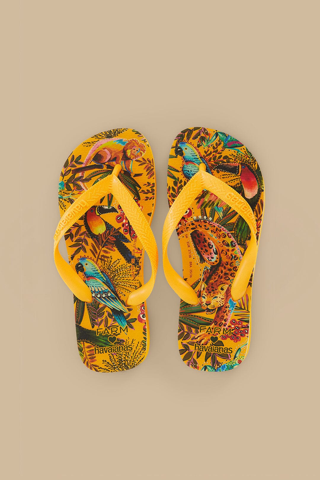 Havaianas Into the Jungle