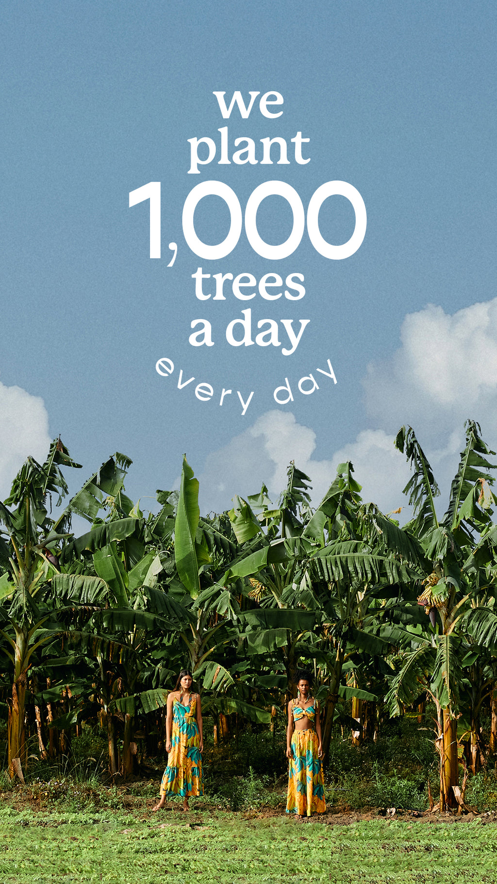 1000 trees a day every day – FARM Rio | México