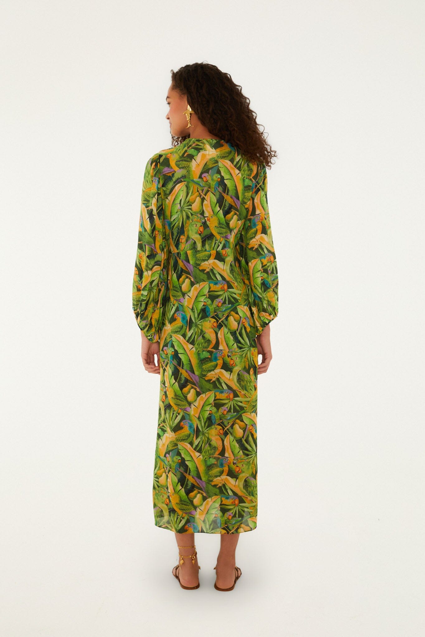 Vestido Midi Verde Forest Parrots de Manga Larga